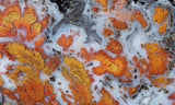 Wingate Rock Slab 355