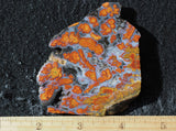 Wingate Rock Slab 364