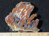 Wingate Rock Slab 373