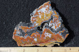 Wingate Rock Slab 361