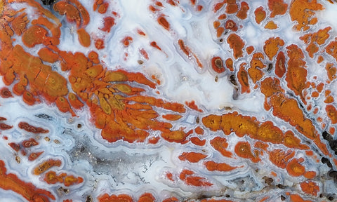 Wingate Rock Slab 365