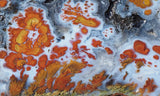 Wingate Rock Slab 352