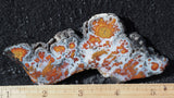 Wingate Rock Slab 357