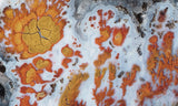 Wingate Rock Slab 357