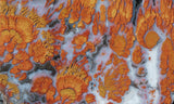 Wingate Rock Slab 354