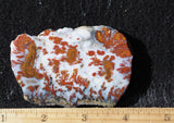 Wingate Rock Slab 353