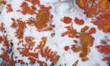 Wingate Rock Slab 353