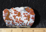 Wingate Rock Slab 353