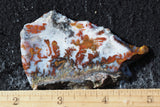 Wingate Rock Slab 398