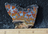 Wingate Rock Slab 396