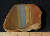 Oregon Picture Jasper Rock Slab 480