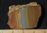 Oregon Picture Jasper Rock Slab 479