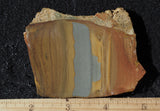 Oregon Picture Jasper Rock Slab 478