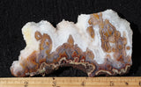 Cathedral Agate Rock Slab 399