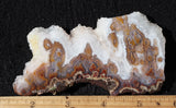 Cathedral Agate Rock Slab 399