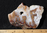 Cathedral Agate Rock Slab 388