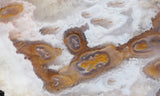 Cathedral Agate Rock Slab 388