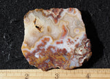 Bargain Bin F Slab 223