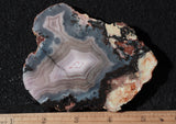 Laguna Agate 70