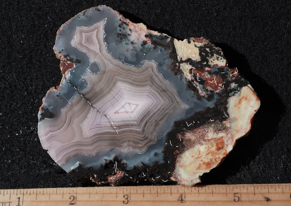 Laguna Rocks Laguna Agate 70 – DD Rocks