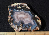 Laguna Agate 66