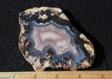 Laguna Agate 66