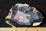 Laguna Agate 67