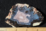 Laguna Agate 67