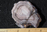 Laguna Agate 71