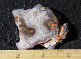 Laguna Agate 74