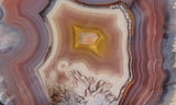 Laguna Agate 72