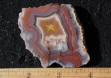 Laguna Agate 72