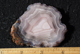 Laguna Agate 68