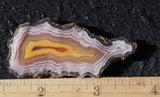 Laguna Agate 73