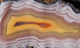 Laguna Agate 73