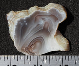 Botswana Agate Slab 77