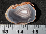 Botswana Agate Slab 60