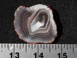 Botswana Agate Slab 68