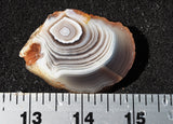 Botswana Agate Slab 58