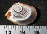Botswana Agate Slab 58