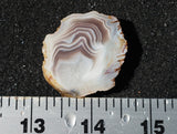 Botswana Agate Slab 70