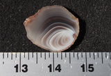 Botswana Agate Slab 75