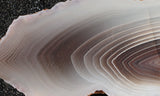 Botswana Agate Slab 72