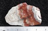 Bargain Bin F Slab 246