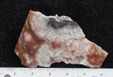 Mexican Crazy Lace Agate Rock slab 0208
