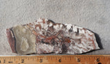 Bargain Bin E Slab 179