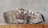Bargain Bin E Slab 179