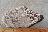 Snowflake Laguna Slab 461