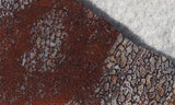Dinosaur Bone Rock Slab 446