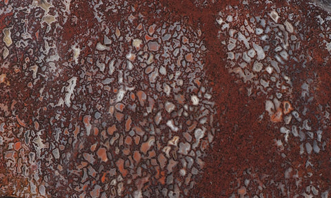Dinosaur Bone Rock Slab 426